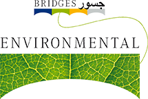 Bridges Environmental Services LLC